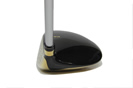 Gi Magicwand tFAEFCEbh wbh摜